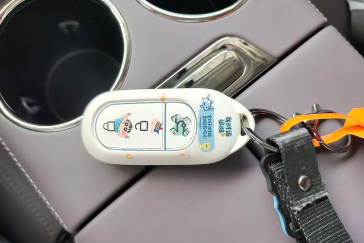 Used Leapmotor C11 2024 All-Electric 580 Luxury Edition Interior 1