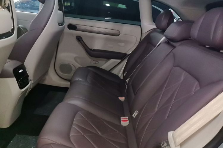 Used Leapmotor C11 2024 All-Electric 580 Luxury Edition Left Rear Seat