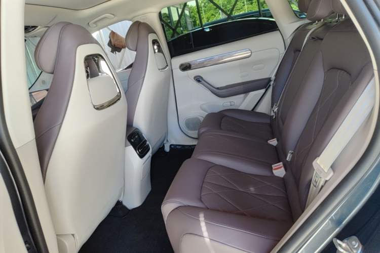 Used Leapmotor C11 2024 Range-Extended 300 Luxury Edition Left Rear Seat