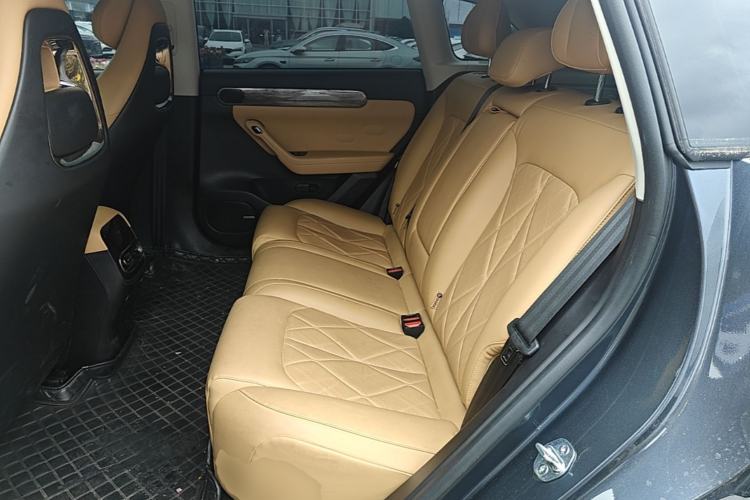 Used Leapmotor C11 2024 Range-Extended 300 Luxury Edition Left Rear Seat