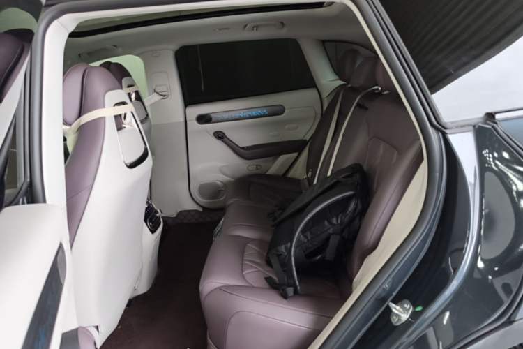 Used Leapmotor C11 2024 All-Electric 580 Luxury Edition Left Rear Seat