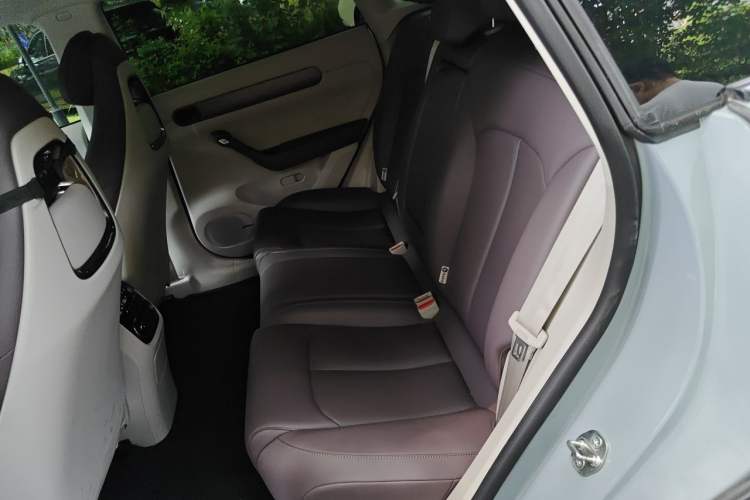 Used Leapmotor C11 2024 All-Electric 580 Luxury Edition Left Rear Seat