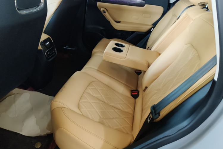 Used Leapmotor C11 2024 Range-Extended 300 Luxury Edition Left Rear Seat