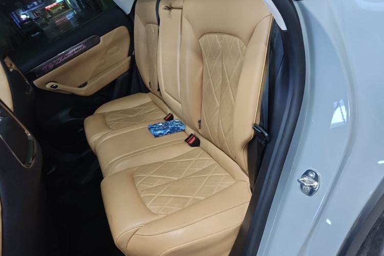Used Leapmotor C11 2024 Range-Extended 300 Luxury Edition Left Rear Seat