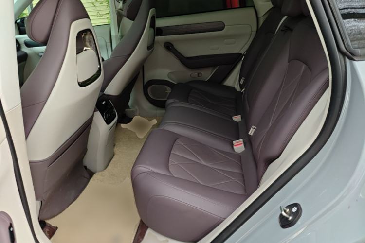 Used Leapmotor C11 2024 All-Electric 580 Luxury Edition Left Rear Seat