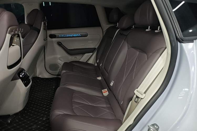 Used Leapmotor C11 2024 All-Electric 580 Luxury Edition Left Rear Seat