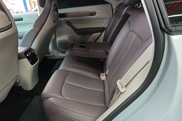 Used Leapmotor C11 2024 Range-Extended 300 Luxury Edition Left Rear Seat