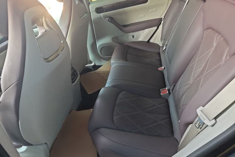 Used Leapmotor C11 2024 Range-Extended 300 Luxury Edition Left Rear Seat