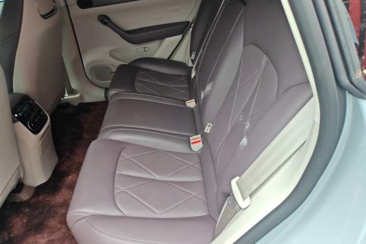 Used Leapmotor C11 2024 All-Electric 580 Luxury Edition Left Rear Seat