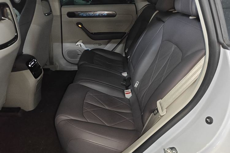 Used Leapmotor C11 2024 Range-Extended 300 Luxury Edition Left Rear Seat