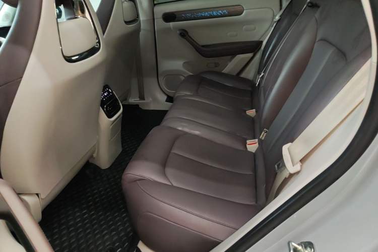 Used Leapmotor C11 2024 All-Electric 580 Luxury Edition Left Rear Seat