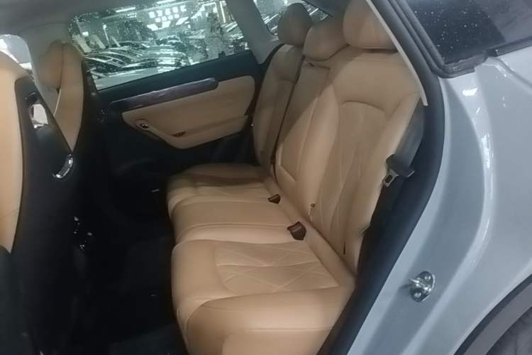 Used Leapmotor C11 2024 Range-Extended 300 Luxury Edition Left Rear Seat