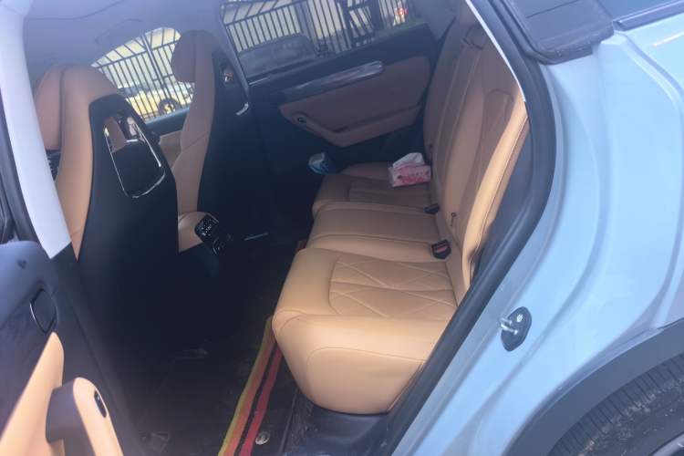 Used Leapmotor C11 2024 Range-Extended 300 Luxury Edition Left Rear Seat