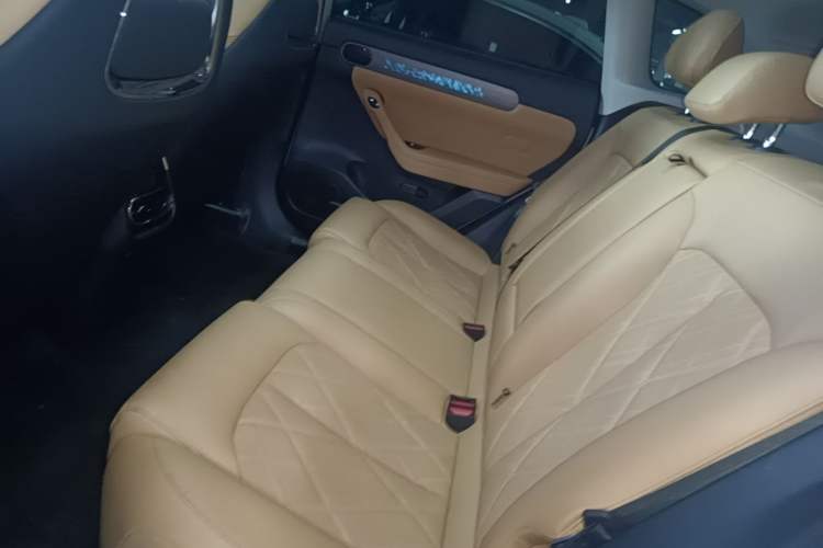 Used Leapmotor C11 2024 All-Electric 580 Luxury Edition Left Rear Seat
