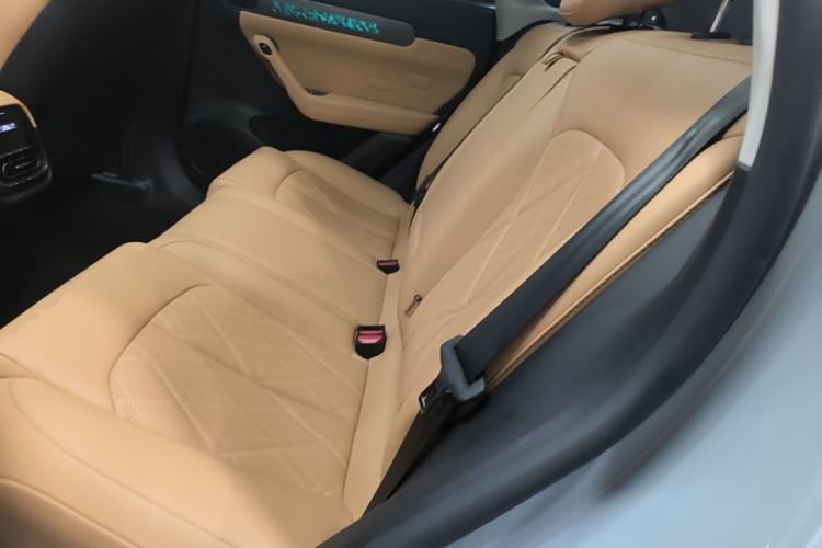 Used Leapmotor C11 2024 All-Electric 580 Luxury Edition Left Rear Seat