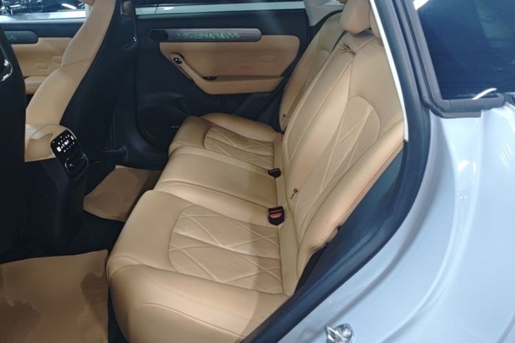 Used Leapmotor C11 2024 All-Electric 580 Luxury Edition Left Rear Seat