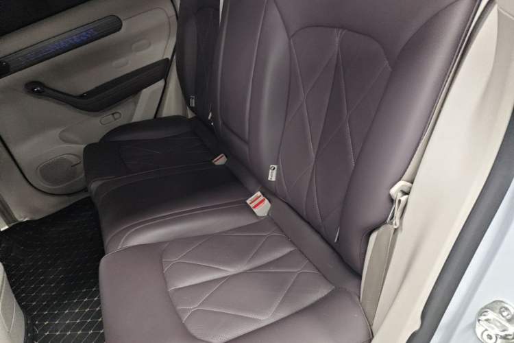 Used Leapmotor C11 2024 All-Electric 580 Luxury Edition Left Rear Seat