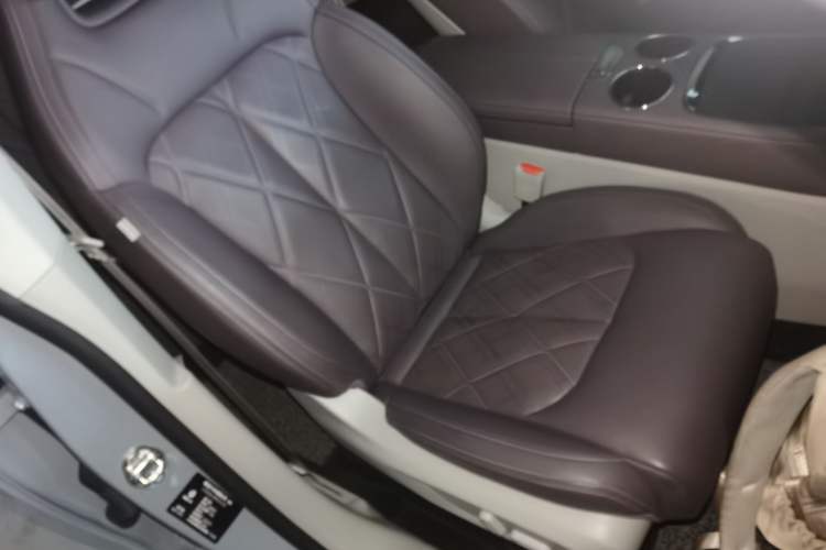 Used Leapmotor C11 2024 All-Electric 580 Luxury Edition Right Front Seat