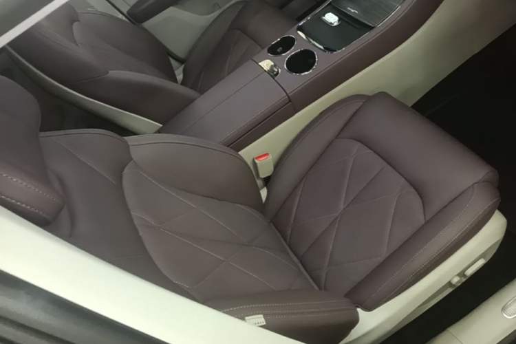 Used Leapmotor C11 2024 All-Electric 580 Luxury Edition Right Front Seat