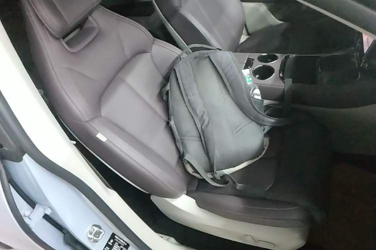 Used Leapmotor C11 2024 Range-Extended 300 Luxury Edition Right Front Seat