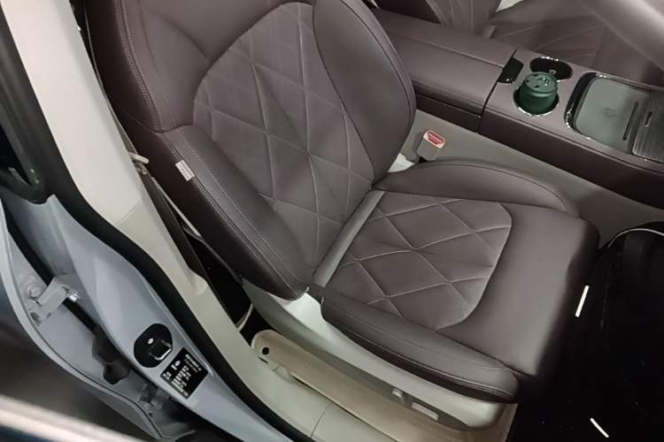 Used Leapmotor C11 2024 All-Electric 580 Luxury Edition Right Front Seat