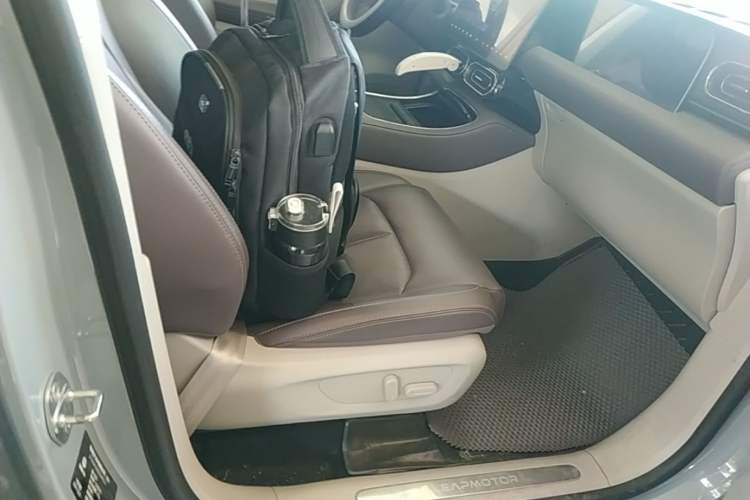 Used Leapmotor C11 2024 All-Electric 580 Luxury Edition Right Front Seat