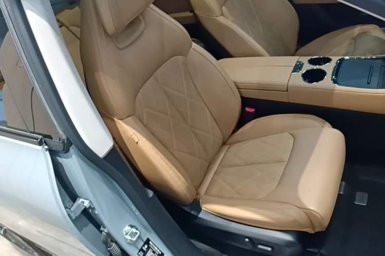 Used Leapmotor C11 2024 Range-Extended 300 Luxury Edition Right Front Seat