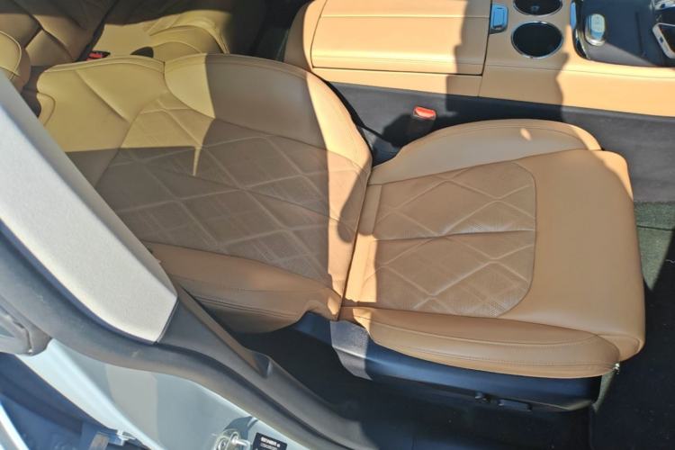 Used Leapmotor C11 2024 All-Electric 580 Luxury Edition Right Front Seat
