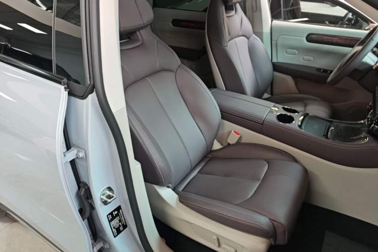 Used Leapmotor C11 2024 Range-Extended 300 Luxury Edition Right Front Seat