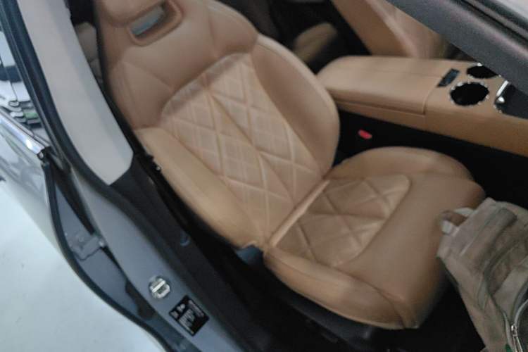 Used Leapmotor C11 2024 All-Electric 580 Luxury Edition Right Front Seat