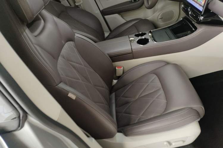 Used Leapmotor C11 2024 All-Electric 580 Luxury Edition Right Front Seat