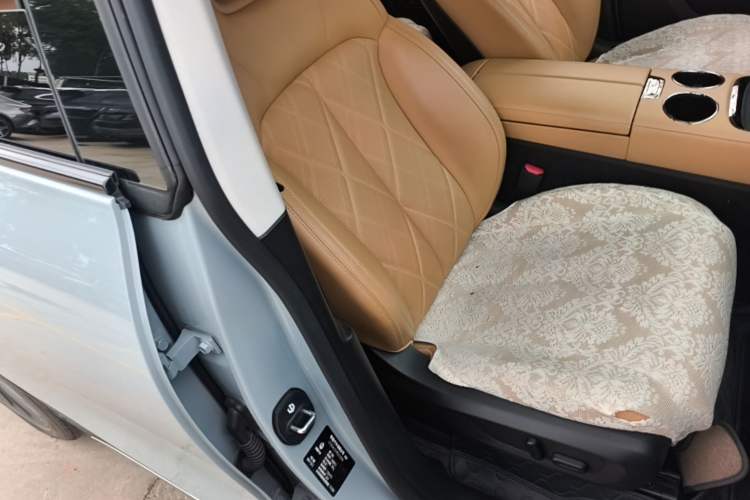 Used Leapmotor C11 2024 All-Electric 580 Luxury Edition Right Front Seat