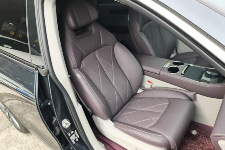 Used Leapmotor C11 2024 Range-Extended 300 Luxury Edition Right Front Seat