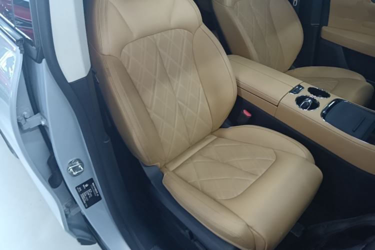 Used Leapmotor C11 2024 All-Electric 580 Luxury Edition Right Front Seat
