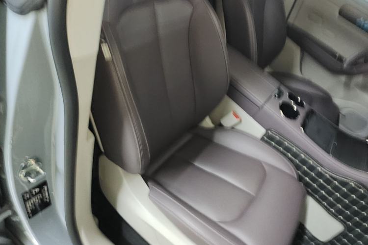 Used Leapmotor C11 2024 All-Electric 580 Luxury Edition Right Front Seat