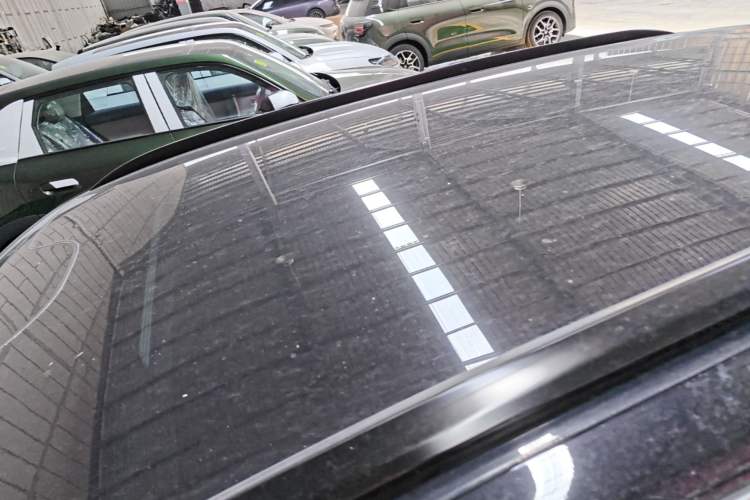 Used Leapmotor C11 2024 All-Electric 580 Luxury Edition Roof