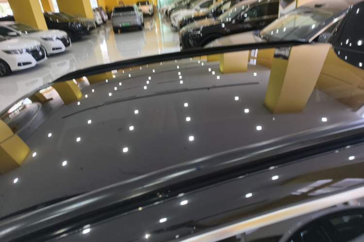 Used Leapmotor C11 2024 All-Electric 580 Luxury Edition Roof