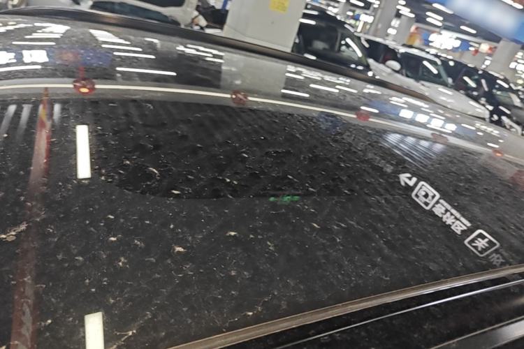 Used Leapmotor C11 2024 Range-Extended 300 Luxury Edition Roof