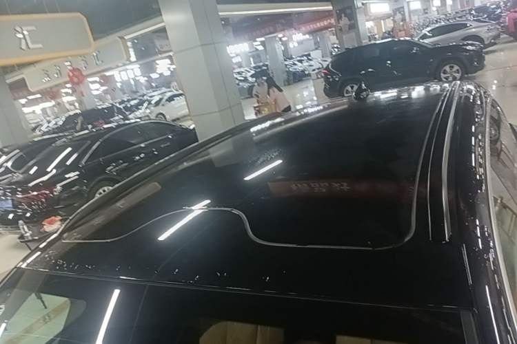 Used Leapmotor C11 2024 Range-Extended 300 Luxury Edition Roof