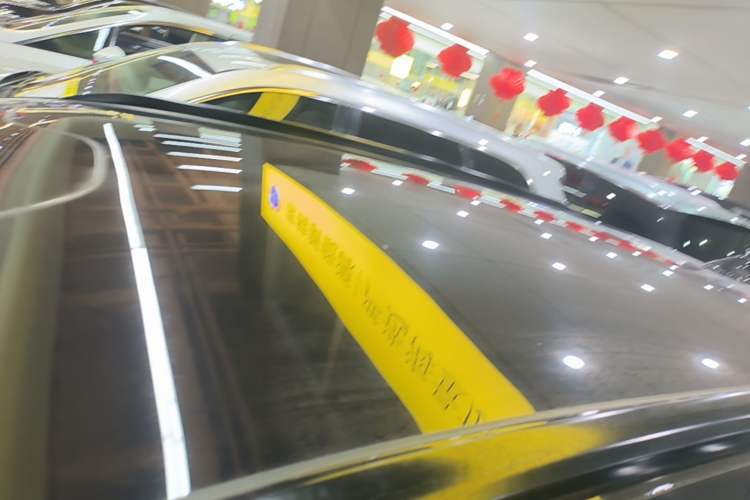Used Leapmotor C11 2024 All-Electric 580 Luxury Edition Roof