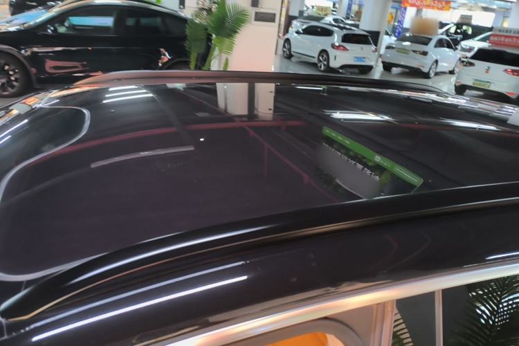 Used Leapmotor C11 2024 All-Electric 580 Luxury Edition Roof