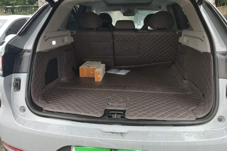 Used Leapmotor C11 2024 All-Electric 580 Luxury Edition Trunk