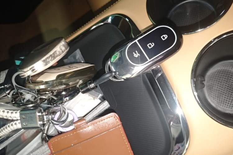 Used Leapmotor C11 2024 All-Electric 580 Luxury Edition Vehicle Key