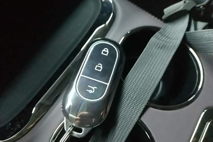 Used Leapmotor C11 2024 Range-Extended 300 Luxury Edition Vehicle Key