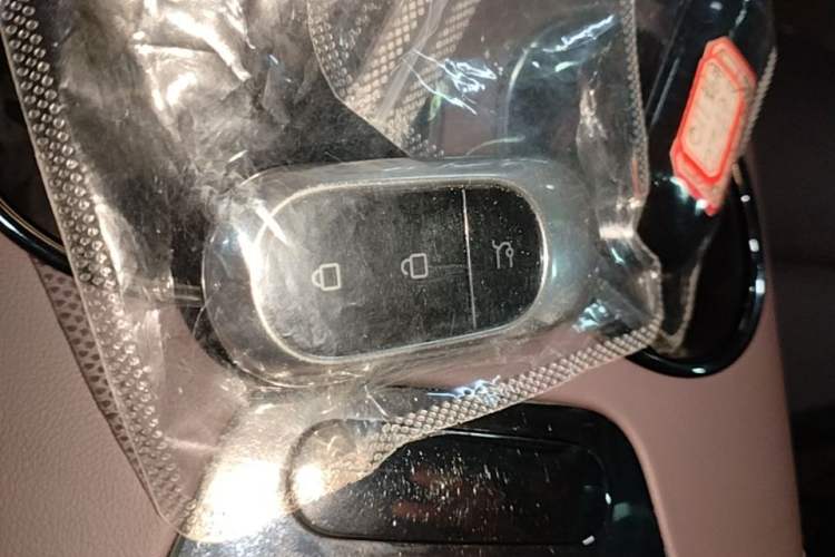 Used Leapmotor C11 2024 Range-Extended 300 Luxury Edition Vehicle Key