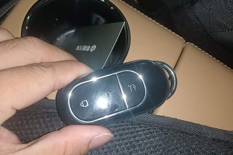 Used Leapmotor C11 2024 Range-Extended 300 Luxury Edition Vehicle Key