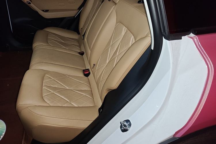 Used Leapmotor C11 2024 Range-Extended 300 Luxury Edition Left Rear Seat