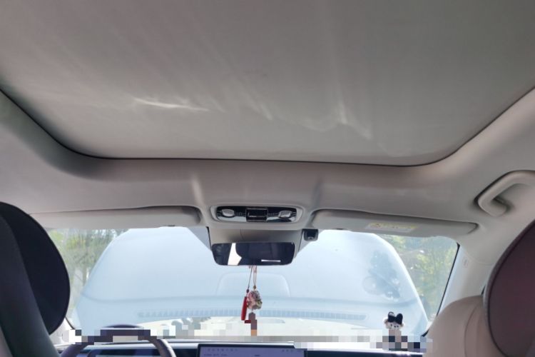 Used Leapmotor C11 2024 Range-Extended 300 Luxury Edition Headliner