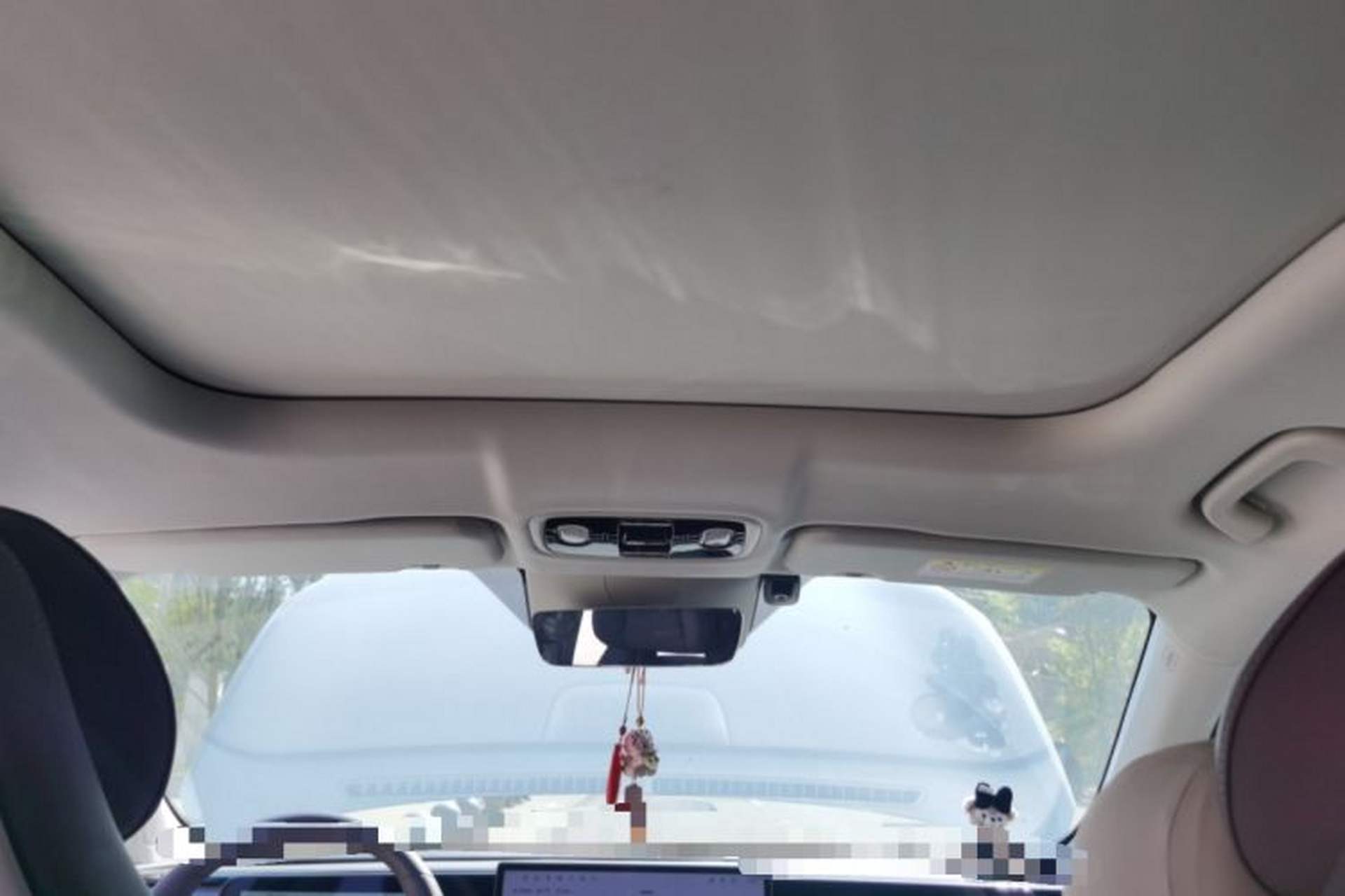 Used Leapmotor C11 2024 Range-Extended 300 Luxury Edition Headliner