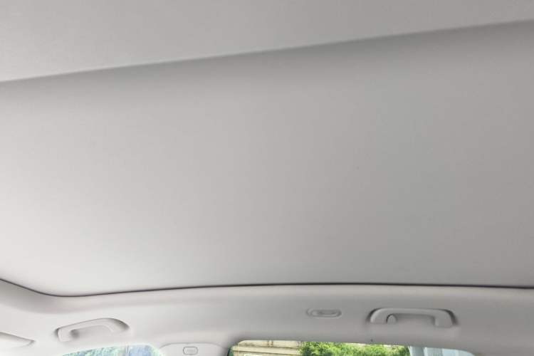 Used Leapmotor C11 2024 All-Electric 580 Luxury Edition Headliner